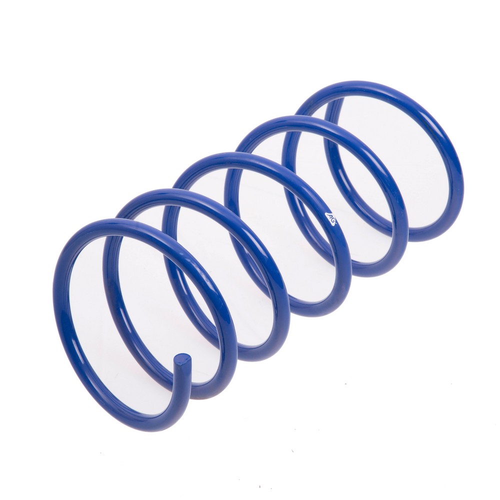RENAULT 18 Traseros AGkit Performance 1978-1993
